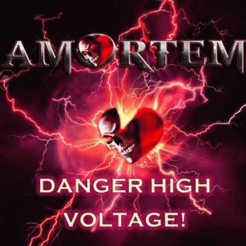 Danger High Voltage!
